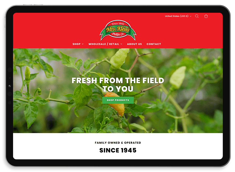 Mobile-friendly ecommerce website design